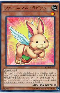 Fluffal Rabbit NECH-JP020