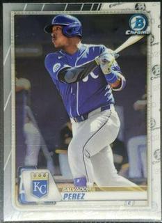 Salvador Perez