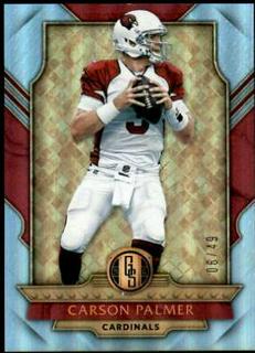 Carson Palmer