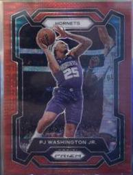 PJ Washington Jr.