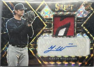 Gavin Williams