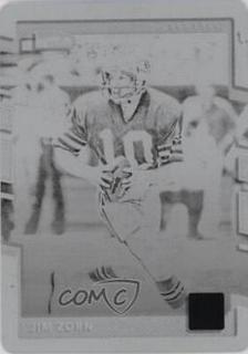Jim Zorn