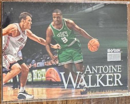 Antoine Walker #41 Basketball Cards 1999 SkyBox Premium
