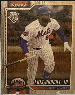 Luis Robert Jr.