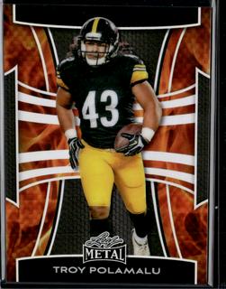 Troy Polamalu