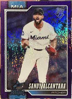 Sandy Alcantara