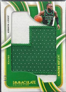 Jaylen Brown
