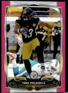 Troy Polamalu