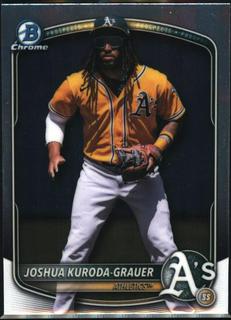 Joshua Kuroda-Grauer