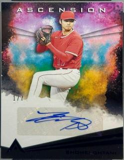 Shohei Ohtani