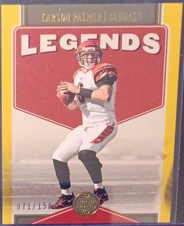 Carson Palmer