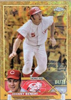 Johnny Bench