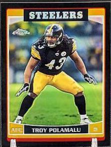 Troy Polamalu