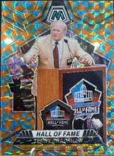Terry Bradshaw
