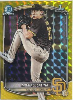 Michael Salina