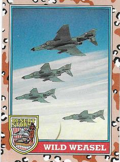 WILD WEASEL