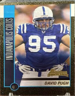David Pugh