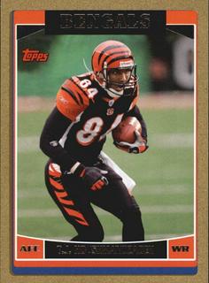 T.J. Houshmandzadeh