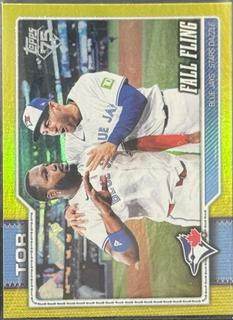 Vladimir Guerrero Jr.