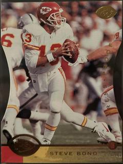 Steve Bono
