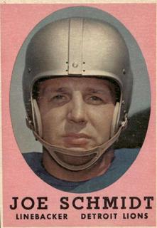 Joe Schmidt