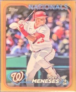 Joey Meneses