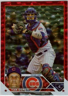 Yan Gomes