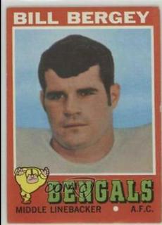 Bill Bergey