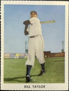 Bill Taylor