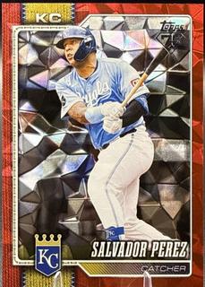 Salvador Perez