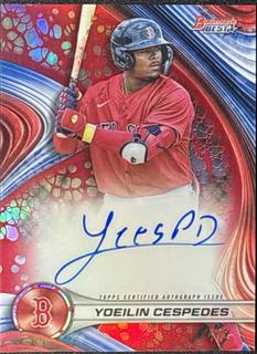 Yoeilin Cespedes