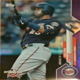 Nelson Cruz