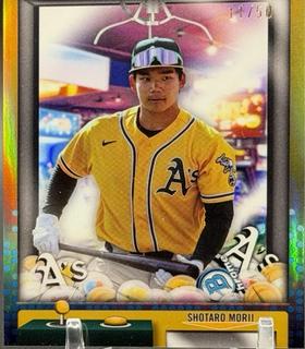 Shotaro Morii