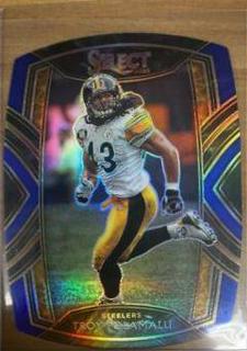 Troy Polamalu