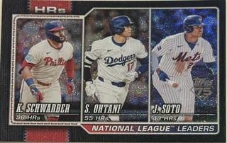National League Leaders HRs