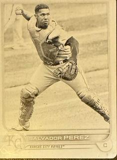 Salvador Perez