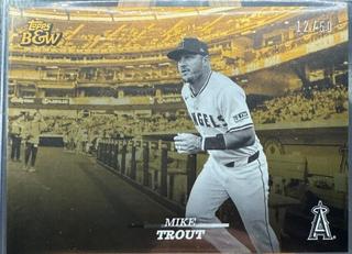 Mike Trout