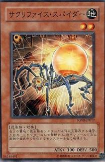 Relinquished Spider SOVR-JP017