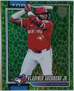 Vladimir Guerrero Jr.
