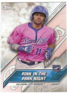 Pink in the Park Night