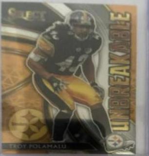 Troy Polamalu