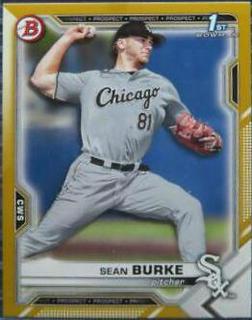 Sean Burke