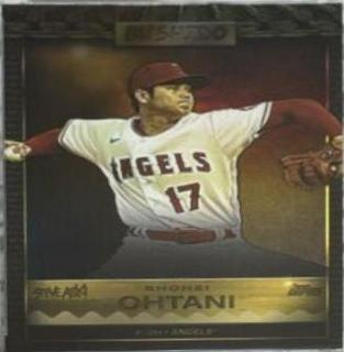 Shohei Ohtani