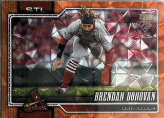 Brendan Donovan