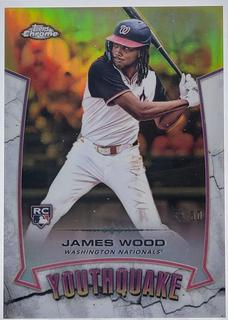 James Wood