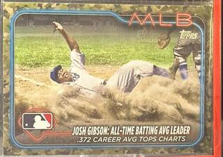 Josh Gibson