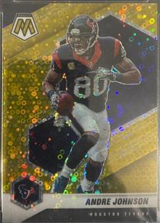 Andre Johnson