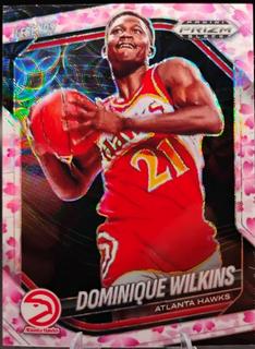 Dominique Wilkins