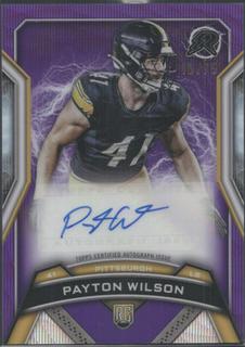 Payton Wilson