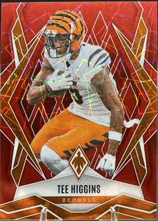 Tee Higgins